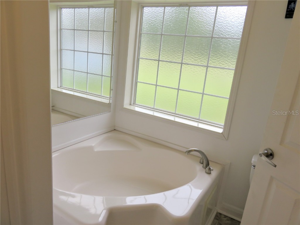 40220 Bowtie Drive Lady Lake FL 32159 OM709027 image28