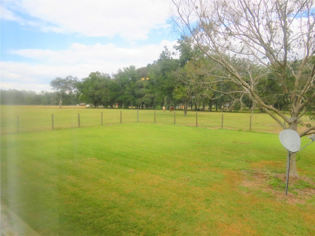 40220 Bowtie Drive Lady Lake FL 32159 OM709027 image44