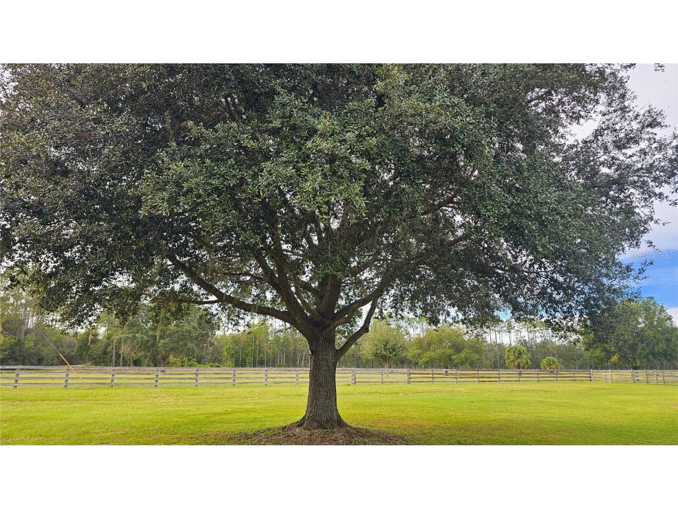 40220 Bowtie Drive Lady Lake FL 32159 OM709027 image45