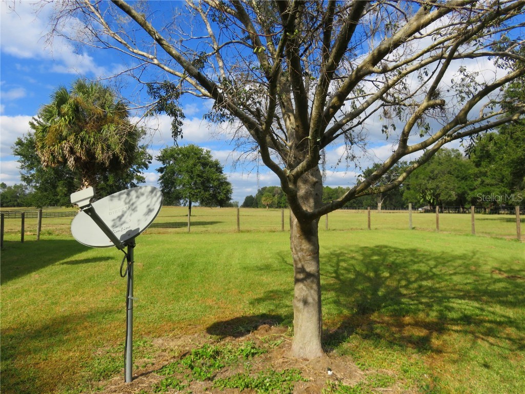 40220 Bowtie Drive Lady Lake FL 32159 OM709027 image50