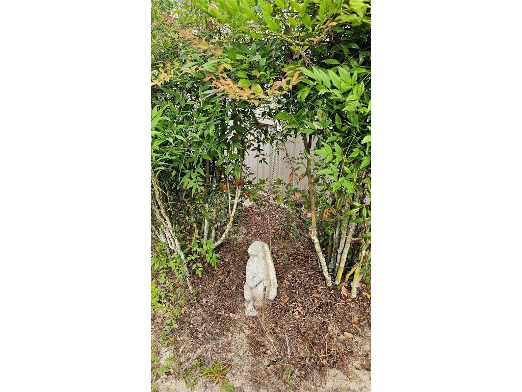 40220 Bowtie Drive Lady Lake FL 32159 OM709027 image51