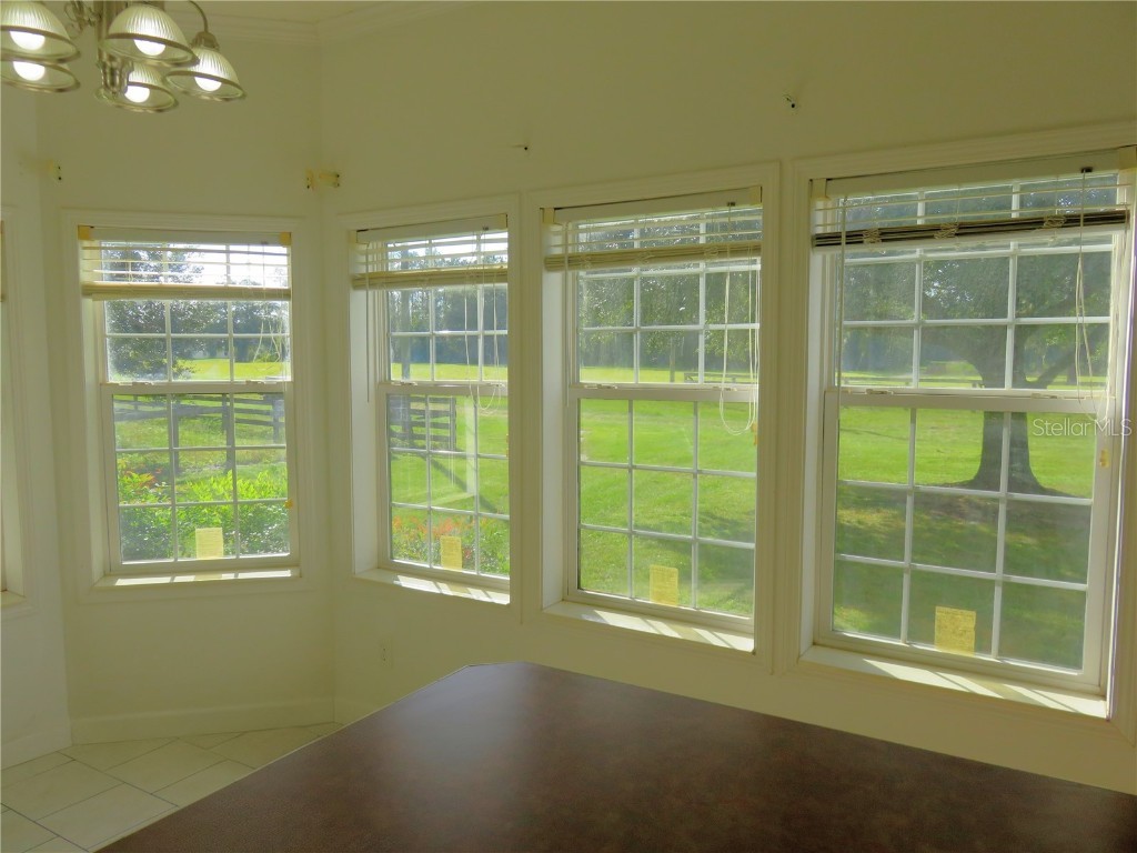 40220 Bowtie Drive Lady Lake FL 32159 OM709027 image7