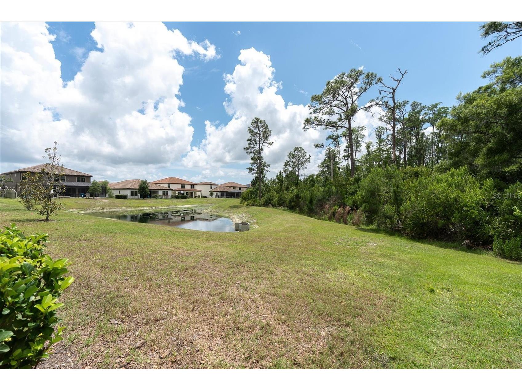 4023 Burdick Loop Odessa FL 33556 TB8508085 image40