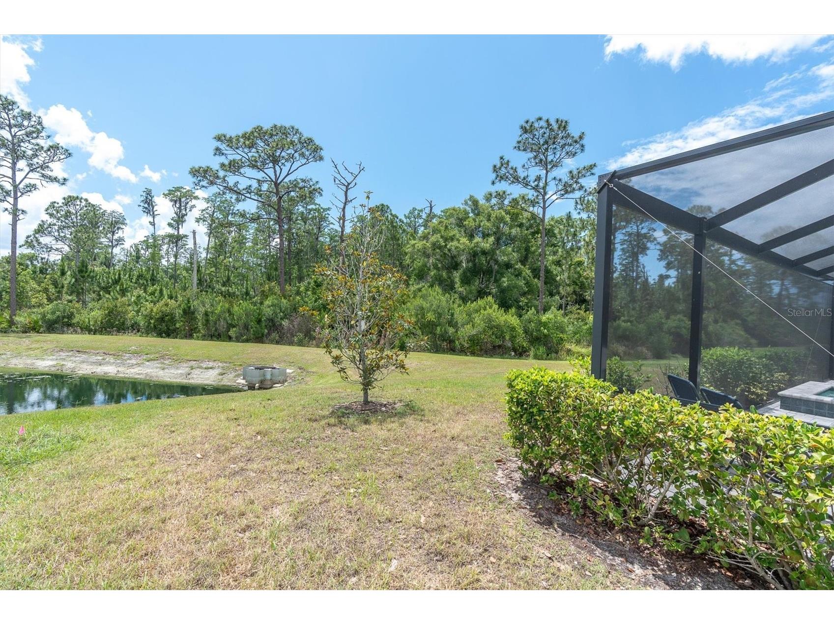 4023 Burdick Loop Odessa FL 33556 TB8508085 image41
