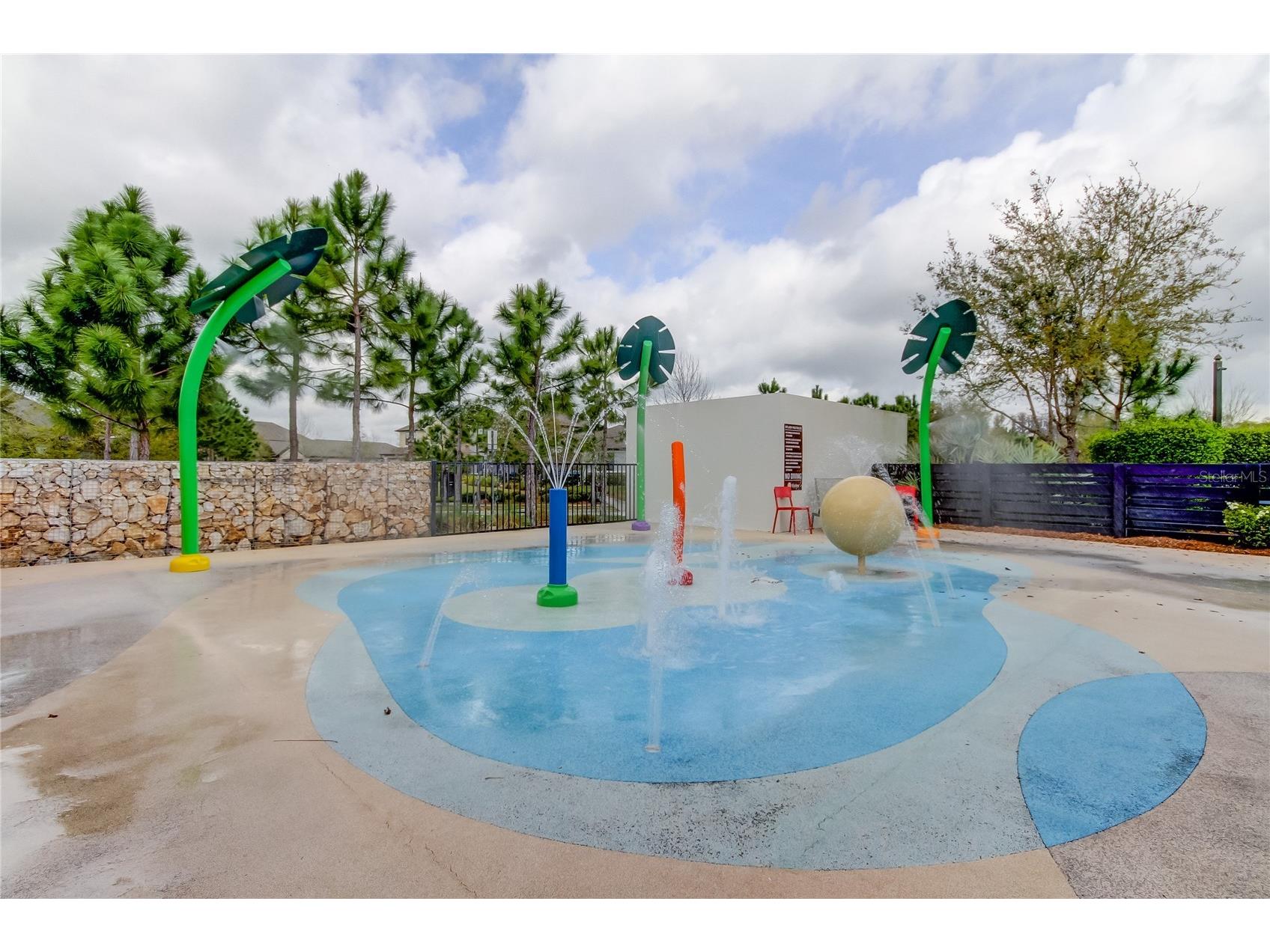 4023 Burdick Loop Odessa FL 33556 TB8508085 image49