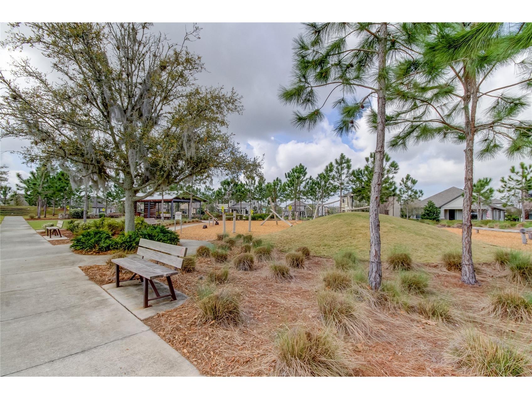 4023 Burdick Loop Odessa FL 33556 TB8508085 image53