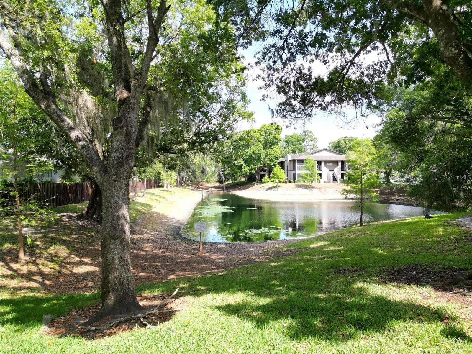 4023 Dream Oak Place #104 Tampa FL 33613 TB8500200 image16