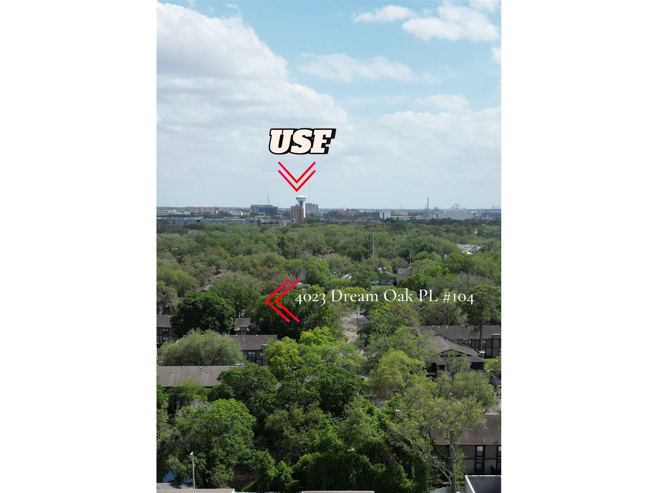 4023 Dream Oak Place #104 Tampa FL 33613 TB8500200 image17