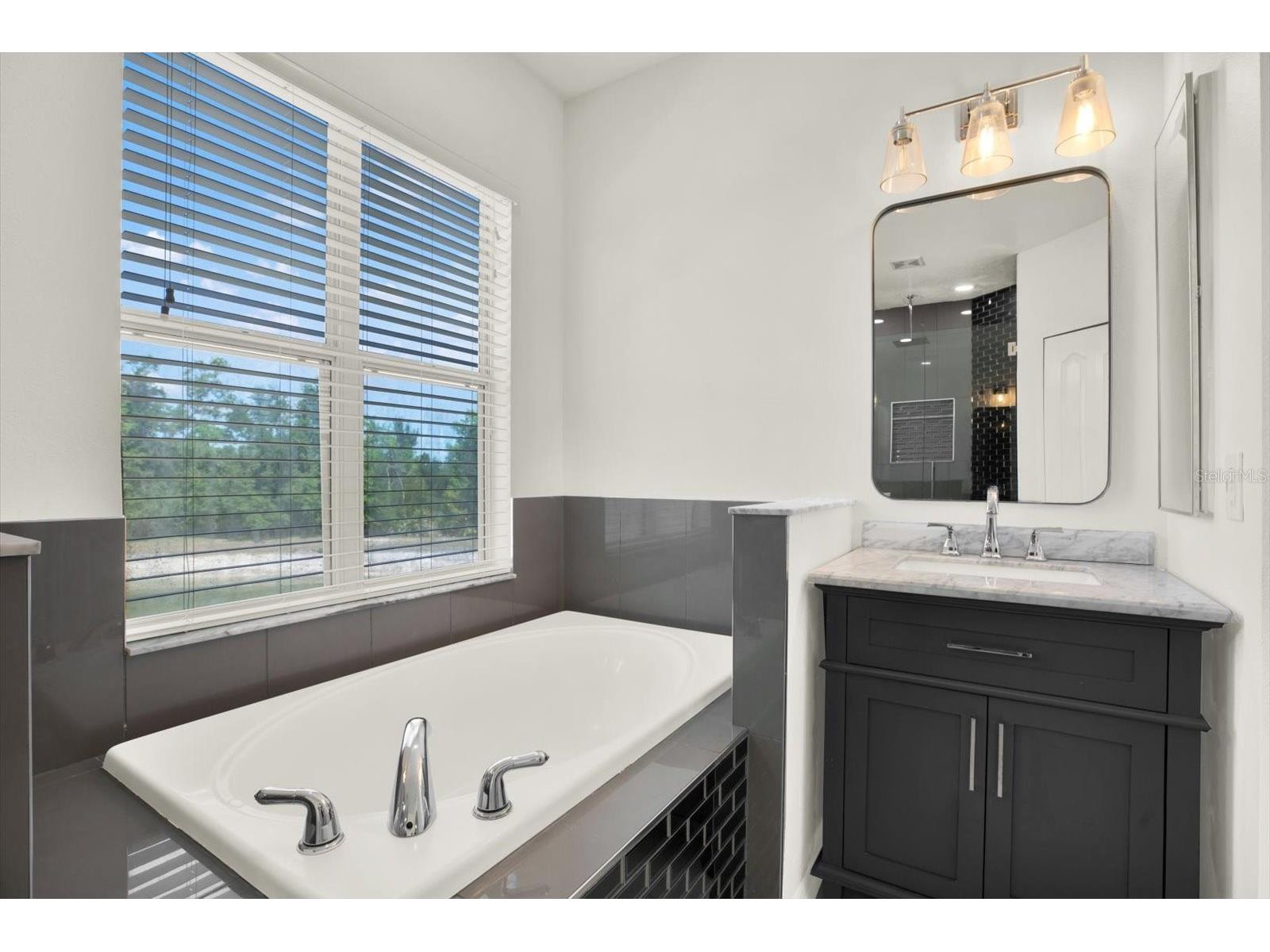 4023 Huntingdale Court Wesley Chapel FL 33543 TB8502208 image39