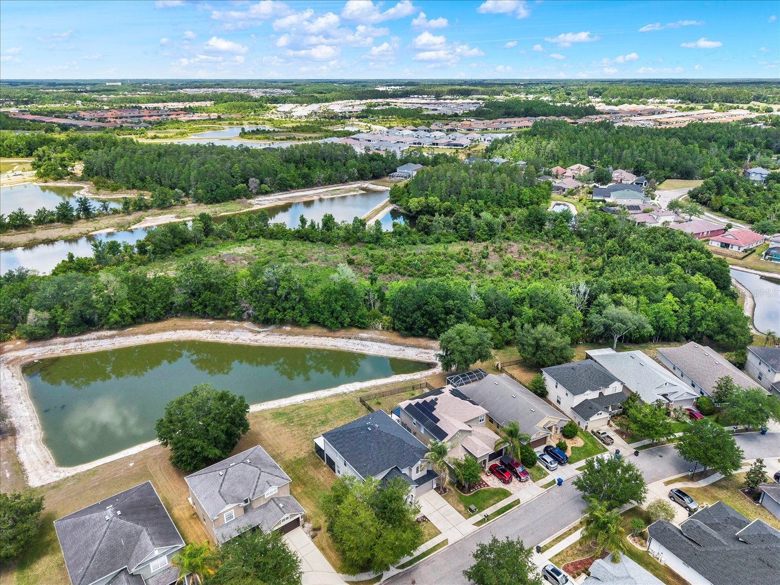 4023 Huntingdale Court Wesley Chapel FL 33543 TB8502208 image59