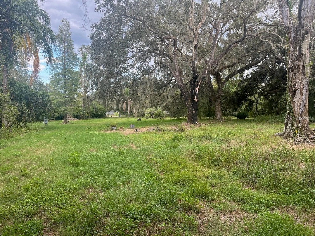 4023 Lado Drive Wesley Chapel FL 33543 TB8301415 image1