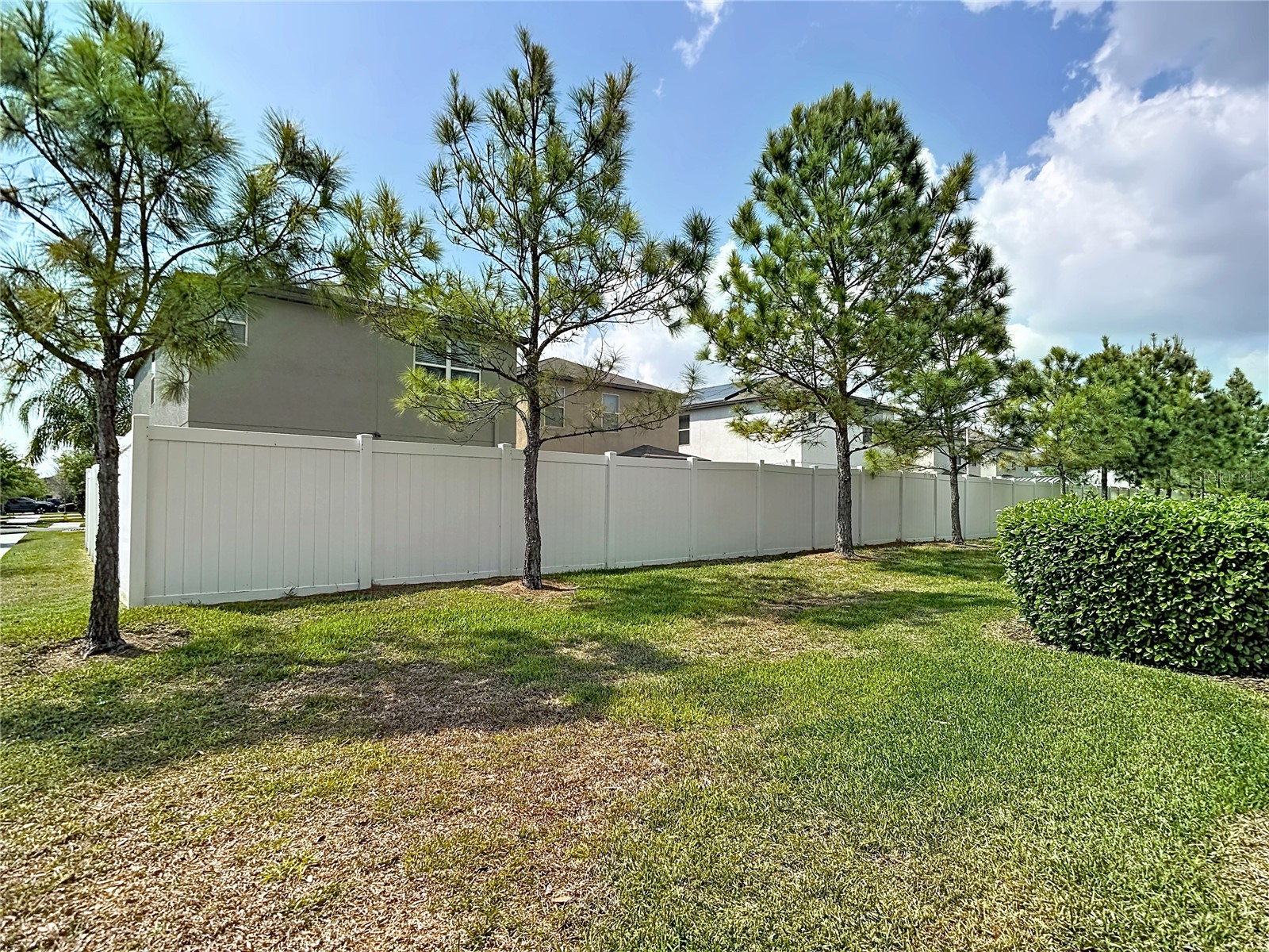 4023 Wild Senna Boulevard Tampa FL 33619 O6393513 image44