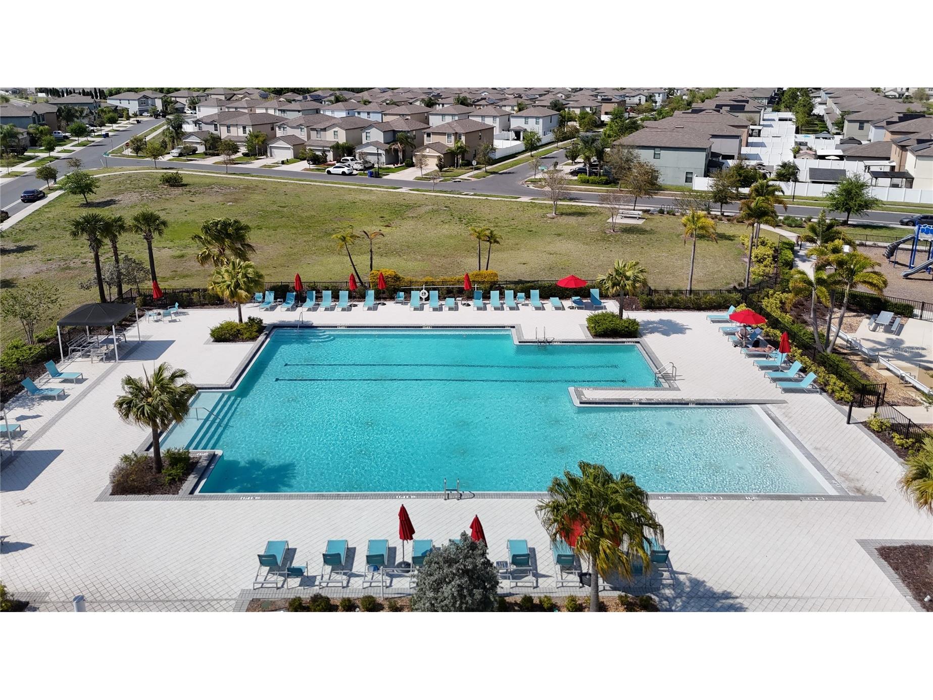 4023 Wild Senna Boulevard Tampa FL 33619 O6393513 image56