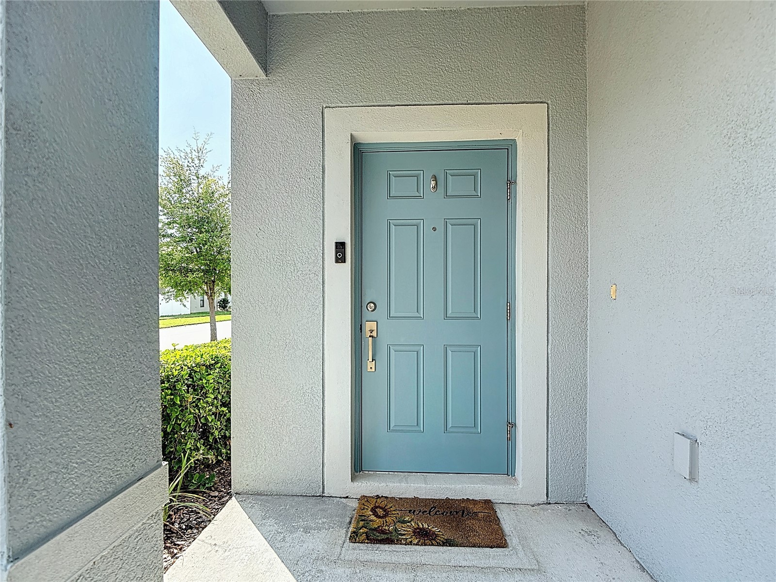 4023 Wild Senna Boulevard Tampa FL 33619 O6393513 image6