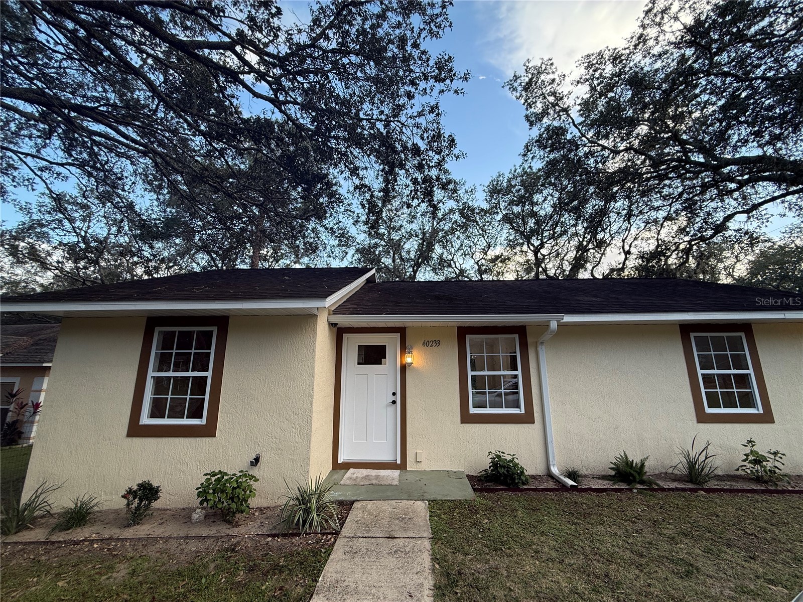 40233 Palm Street Lady Lake FL 32159 G5113225 image2