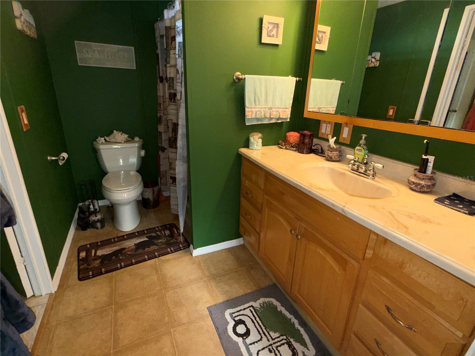40235 Overlook Drive Eustis FL 32736 G5114922 image22