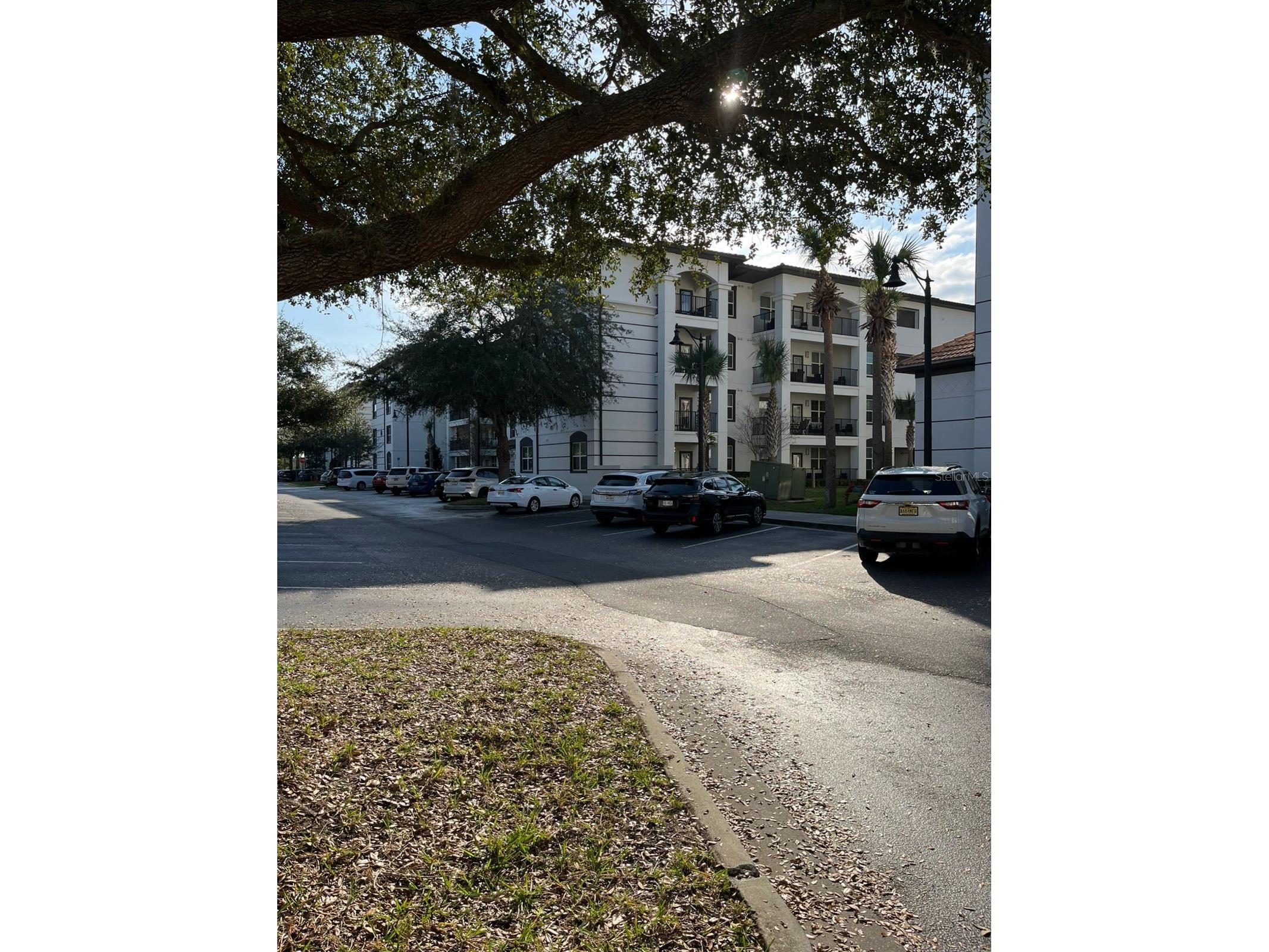 4024 Breakview Drive #10804 Orlando FL 32819 O6427918 image3