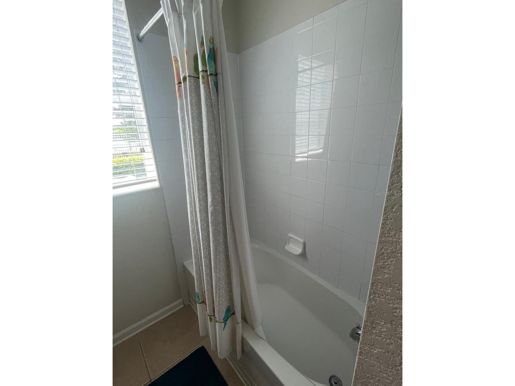 4024 Breakview Drive #10804 Orlando FL 32819 O6427918 image44