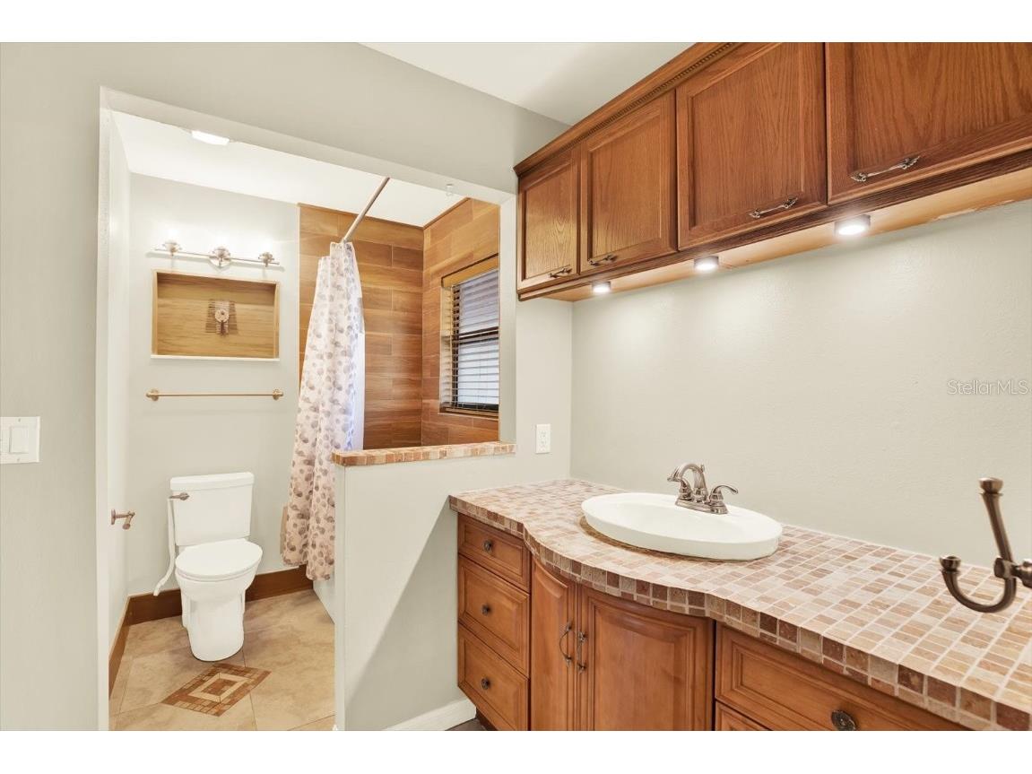 4024 Corkwood Court Palm Harbor FL 34684 TB8420332 image15