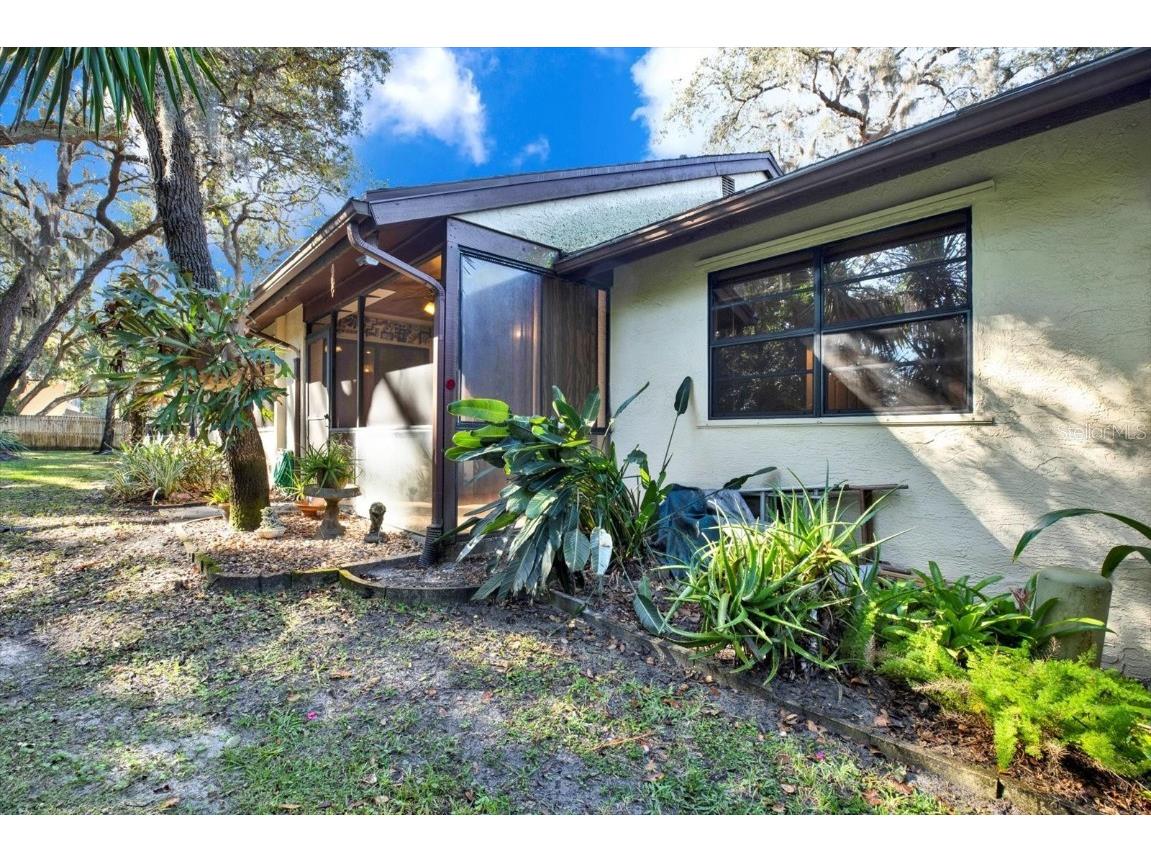 4024 Corkwood Court Palm Harbor FL 34684 TB8420332 image21