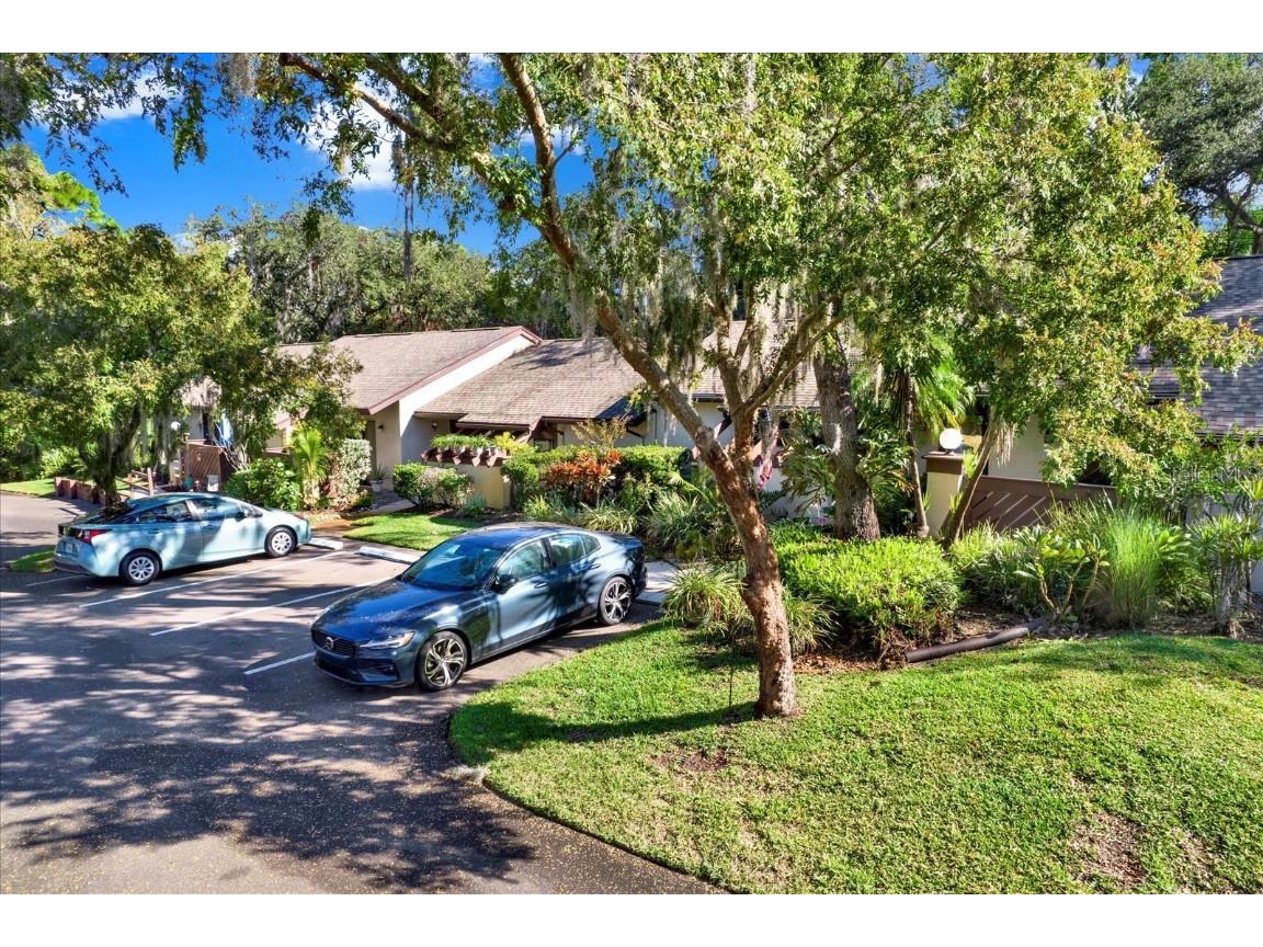 4024 Corkwood Court Palm Harbor FL 34684 TB8420332 image23