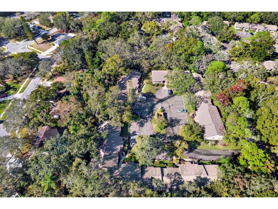 4024 Corkwood Court Palm Harbor FL 34684 TB8420332 image24