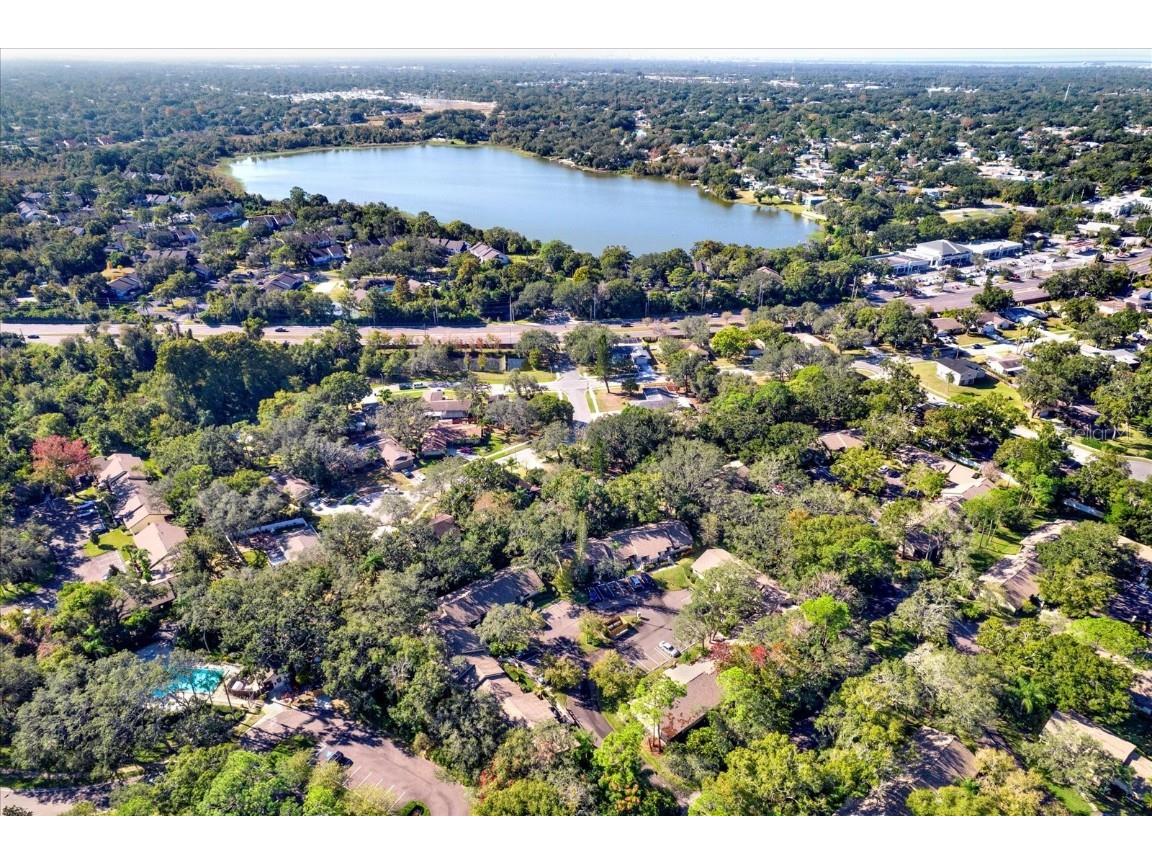 4024 Corkwood Court Palm Harbor FL 34684 TB8420332 image25