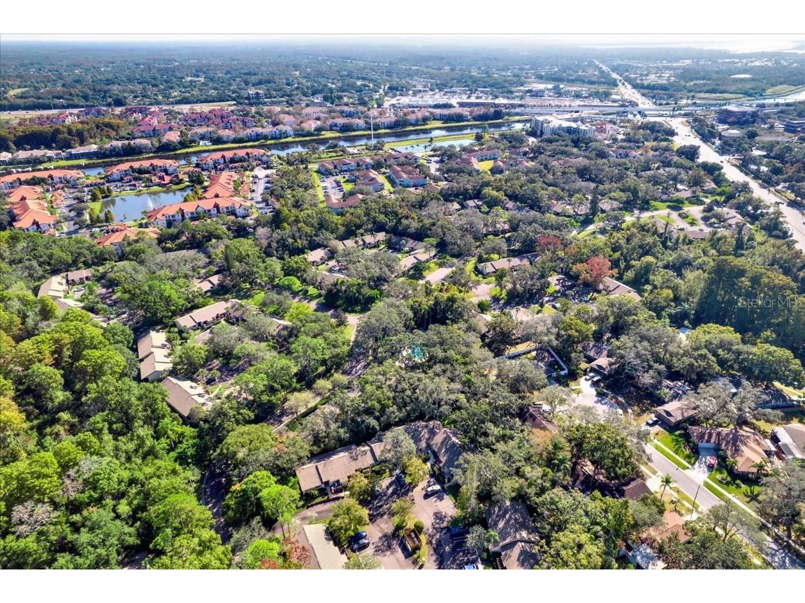 4024 Corkwood Court Palm Harbor FL 34684 TB8420332 image26