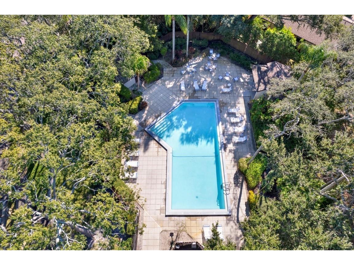 4024 Corkwood Court Palm Harbor FL 34684 TB8420332 image27