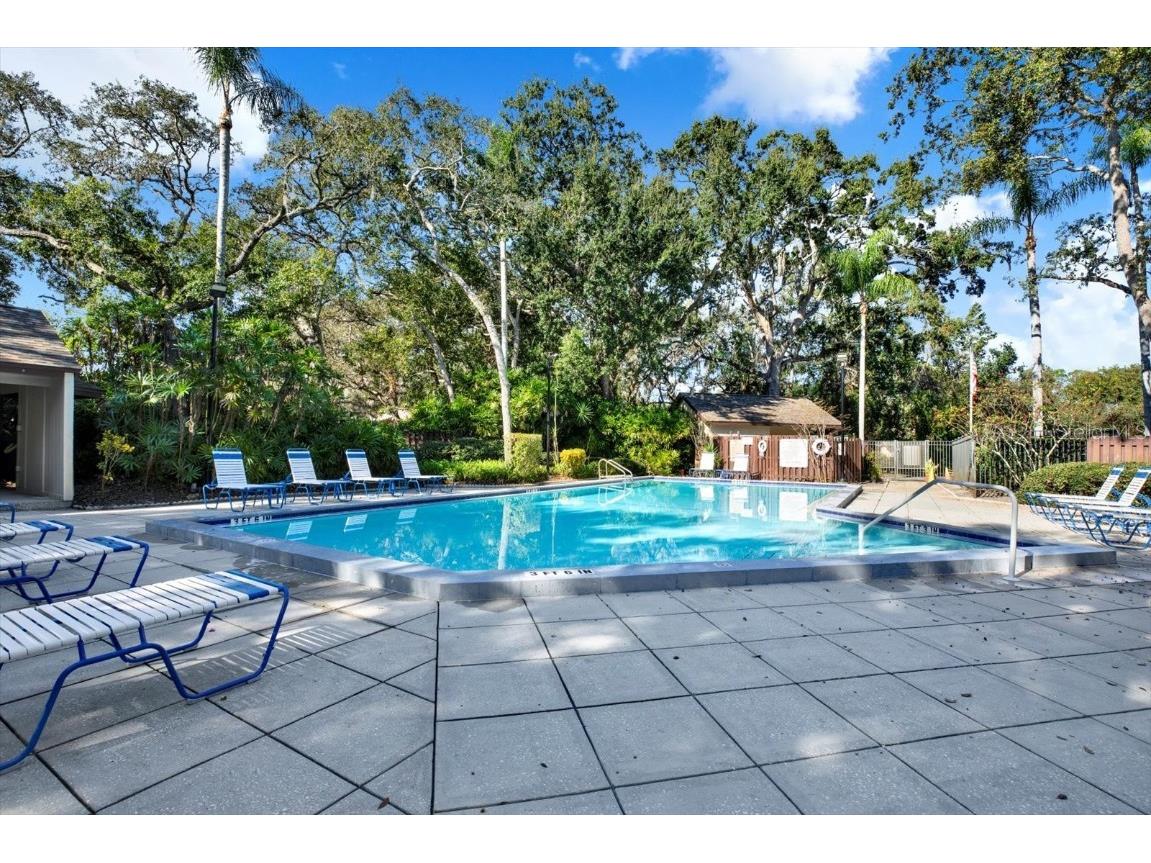 4024 Corkwood Court Palm Harbor FL 34684 TB8420332 image28