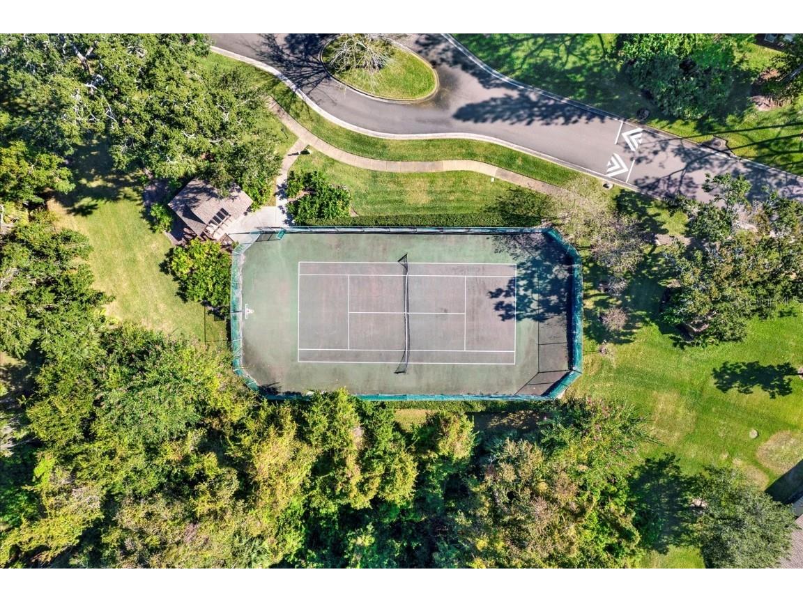 4024 Corkwood Court Palm Harbor FL 34684 TB8420332 image30