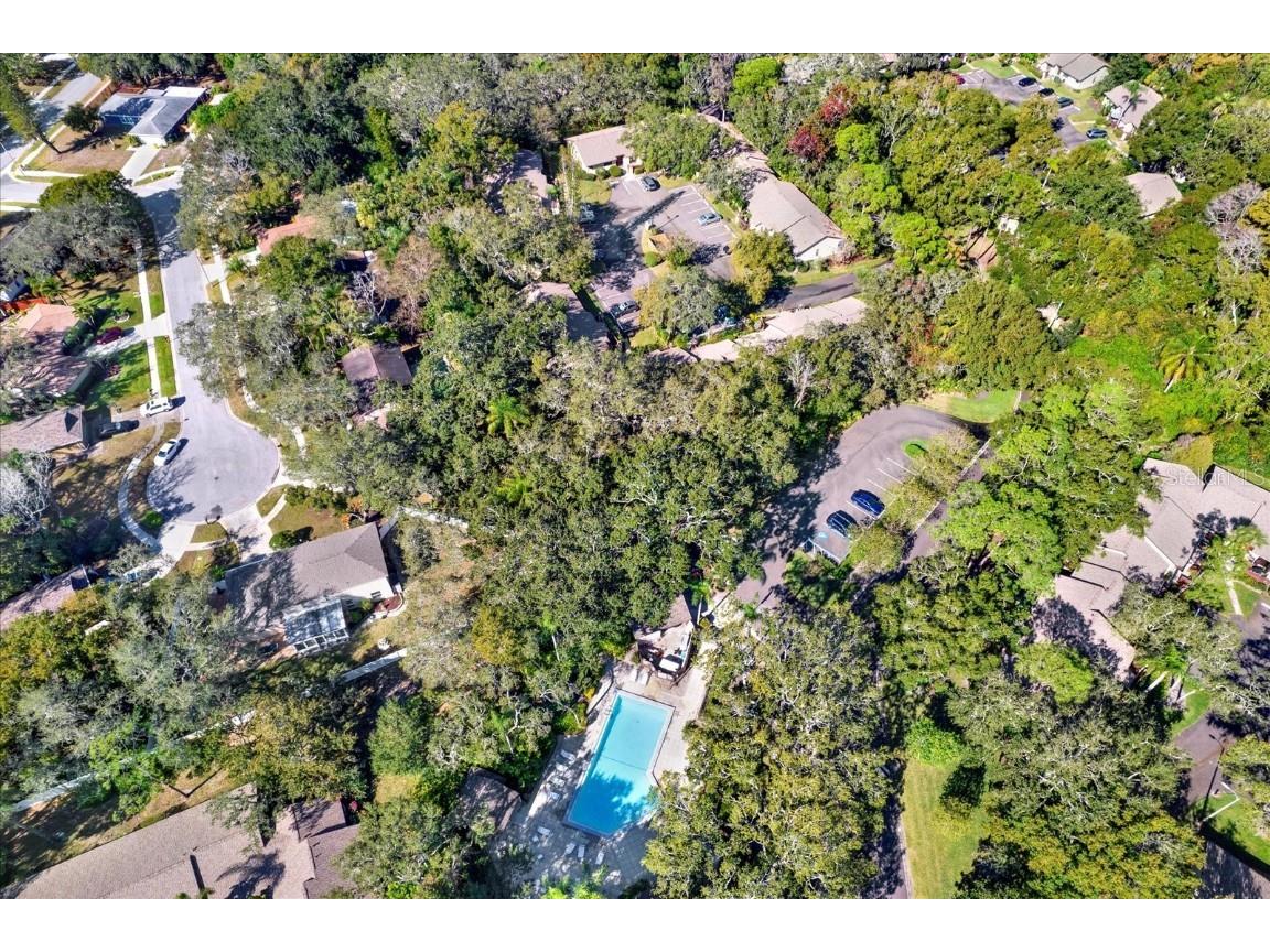 4024 Corkwood Court Palm Harbor FL 34684 TB8420332 image31