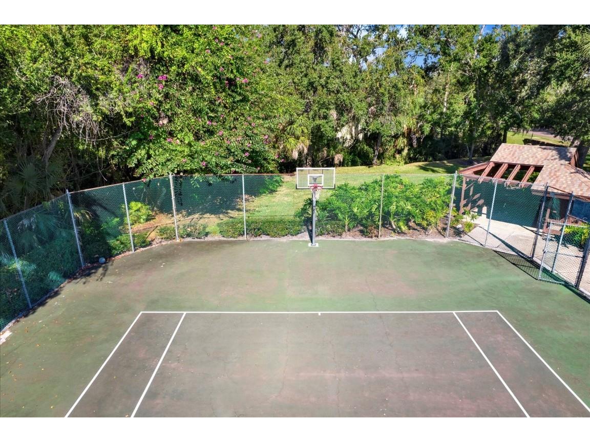 4024 Corkwood Court Palm Harbor FL 34684 TB8420332 image32