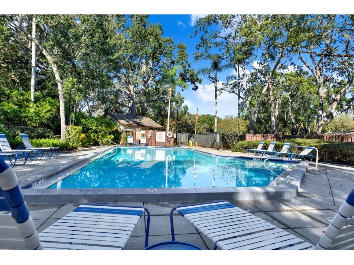 4024 Corkwood Court Palm Harbor FL 34684 TB8420332 image4