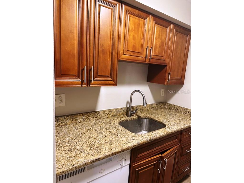 4024 Dream Oak Place #103 Tampa FL 33613 TB8442961 image8