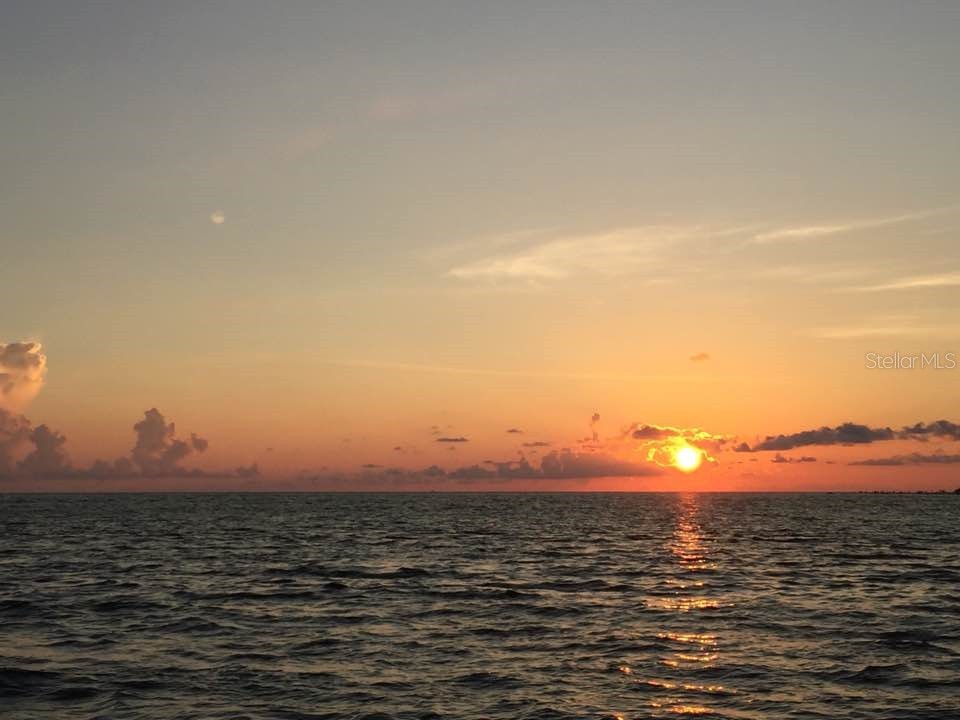 4024 Landor Court Venice FL 34293 N6142591 image54