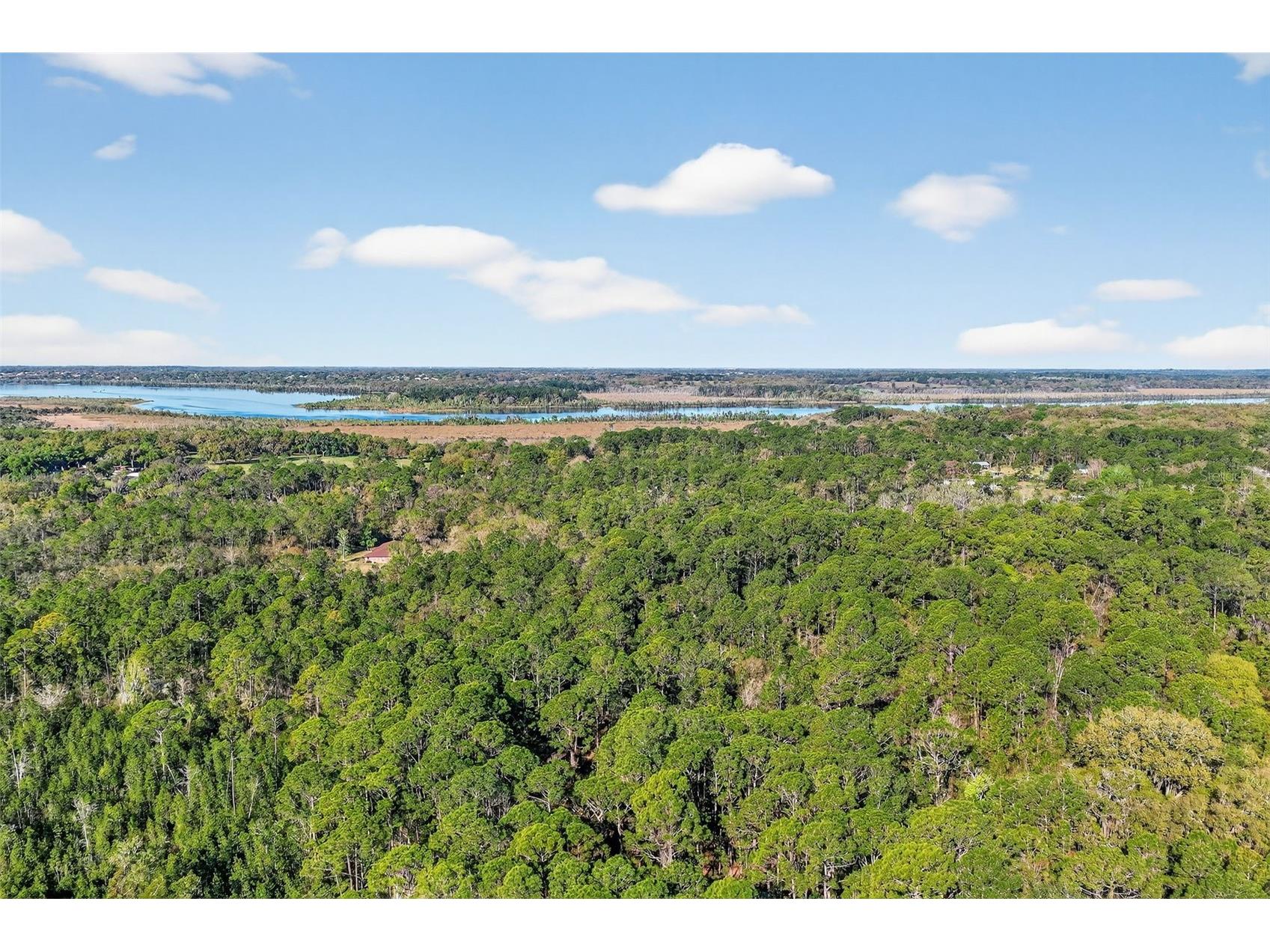 40242 Emeralda Island Road Leesburg FL 34788 G5106419 image28