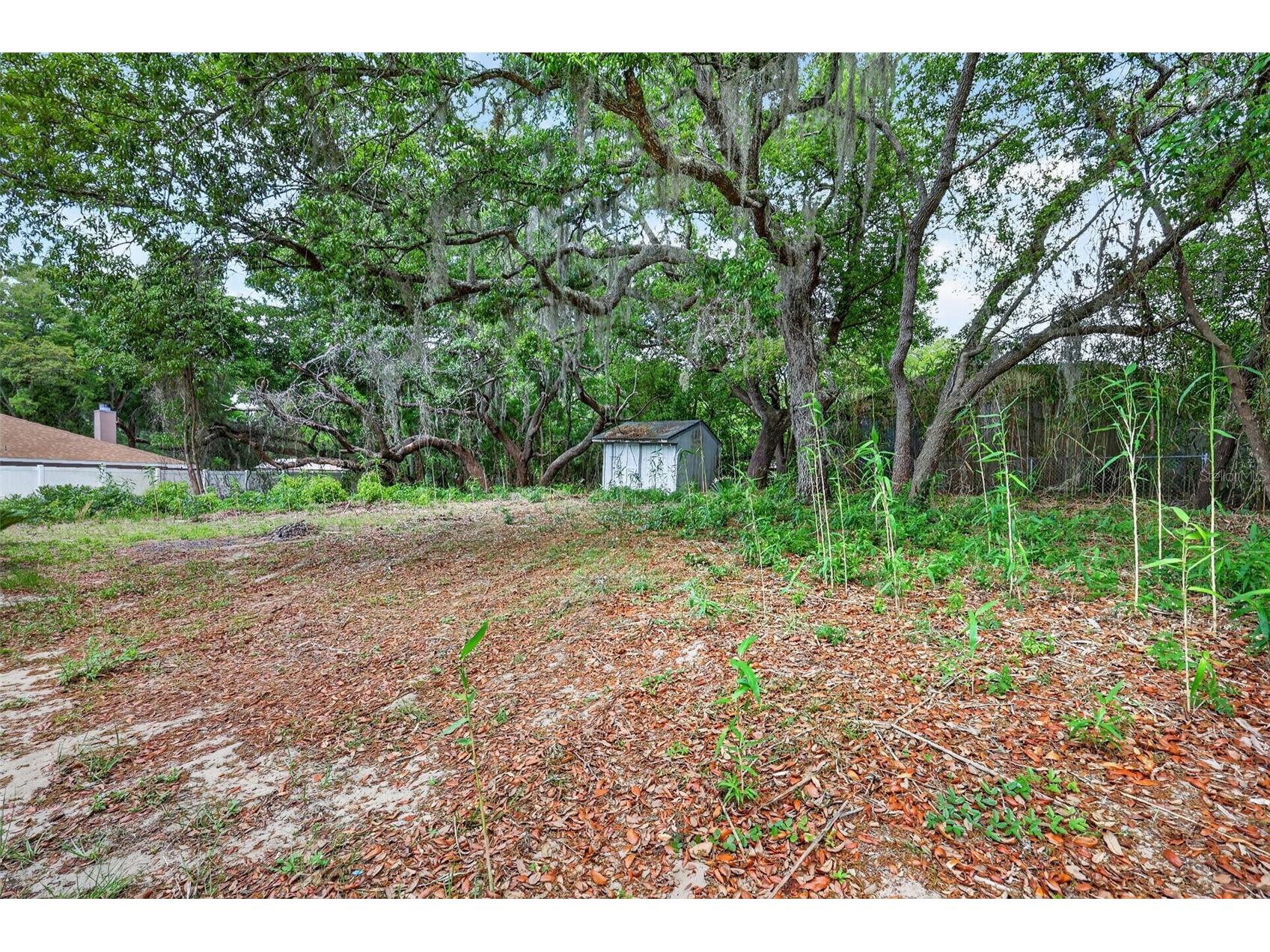40248 Orange Circle Lady Lake FL 32159 OM723201 image22