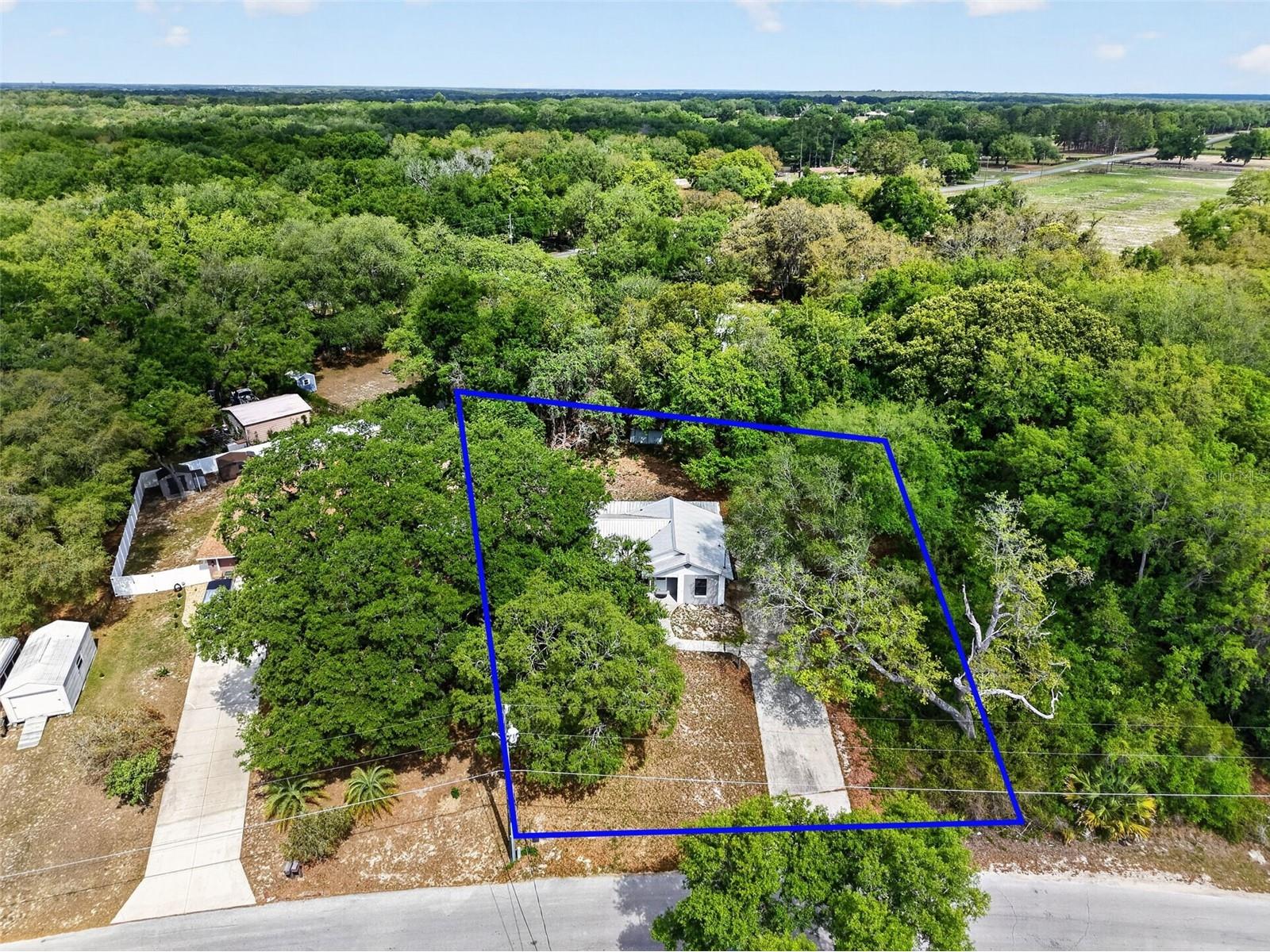 40248 Orange Circle Lady Lake FL 32159 OM723201 image35