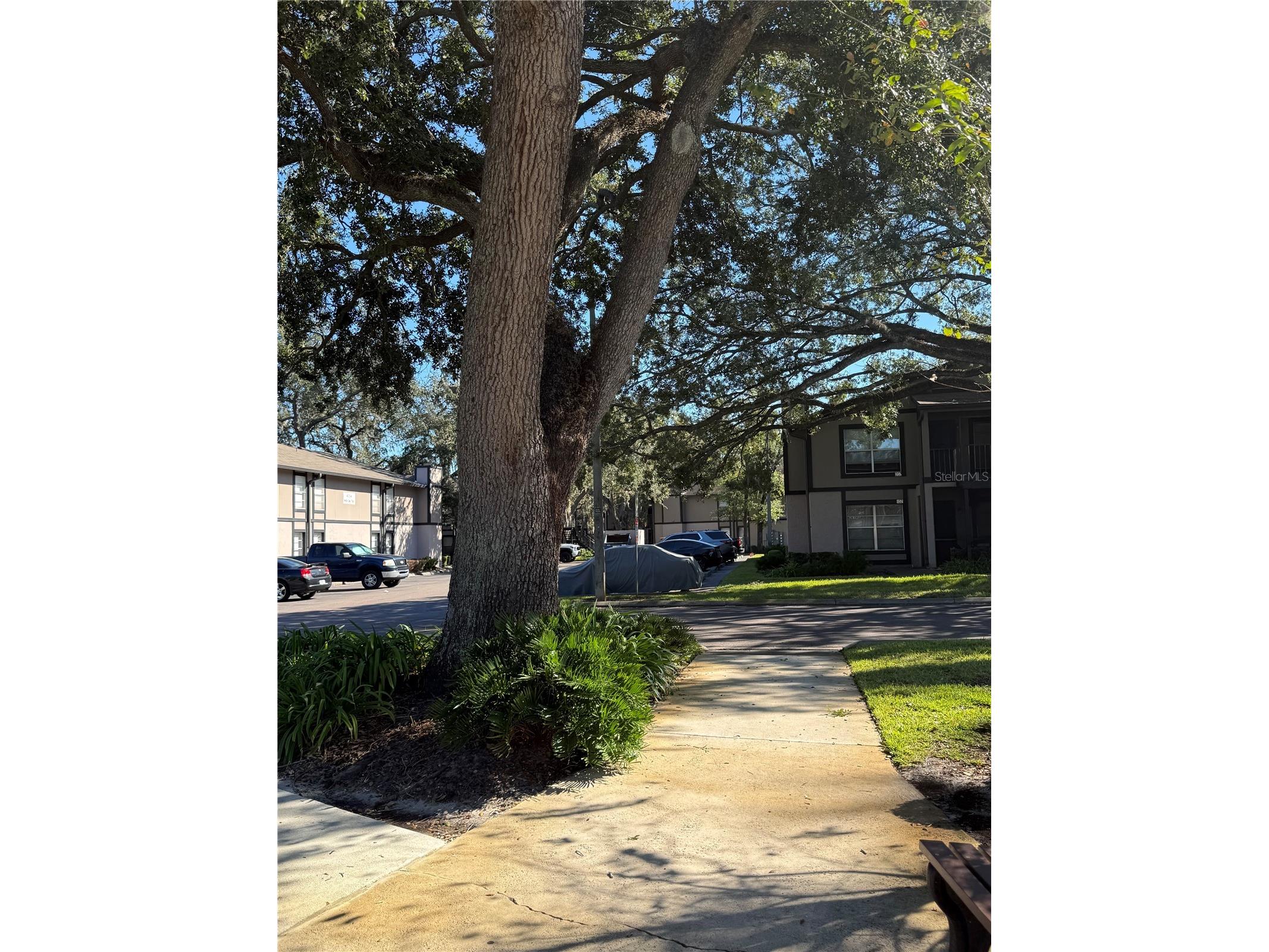 4025 Angel Oak Court #103 Tampa FL 33613 TB8444896 image44