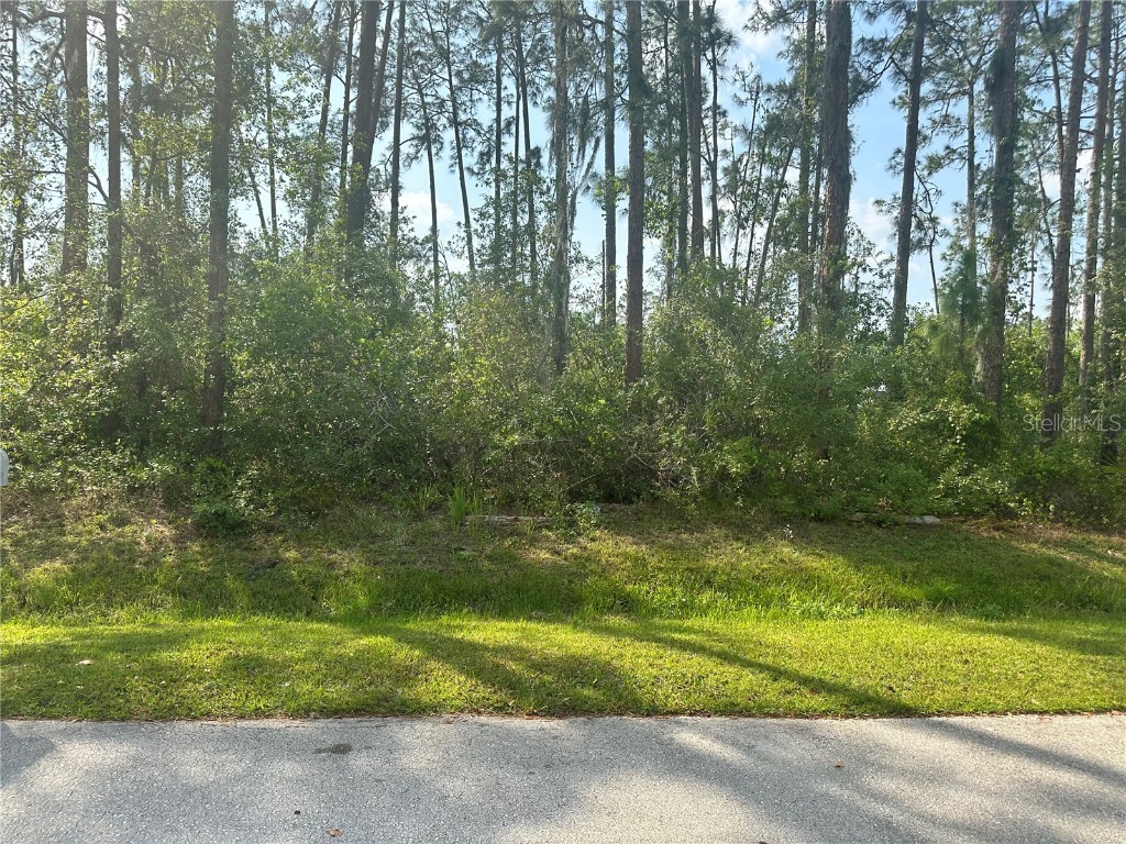 4025 Barbarossa Avenue Sebring FL 33872 T3432765 image1