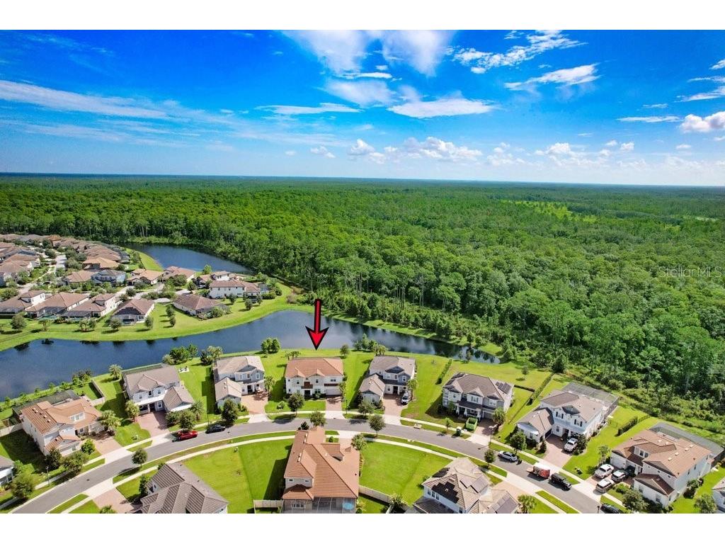 4025 Bonfire Drive Odessa FL 33556 TB8410708 image35