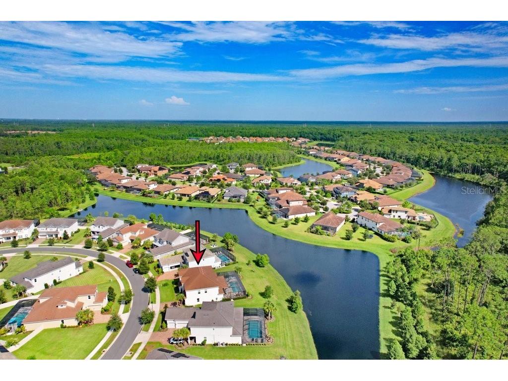 4025 Bonfire Drive Odessa FL 33556 TB8410708 image36