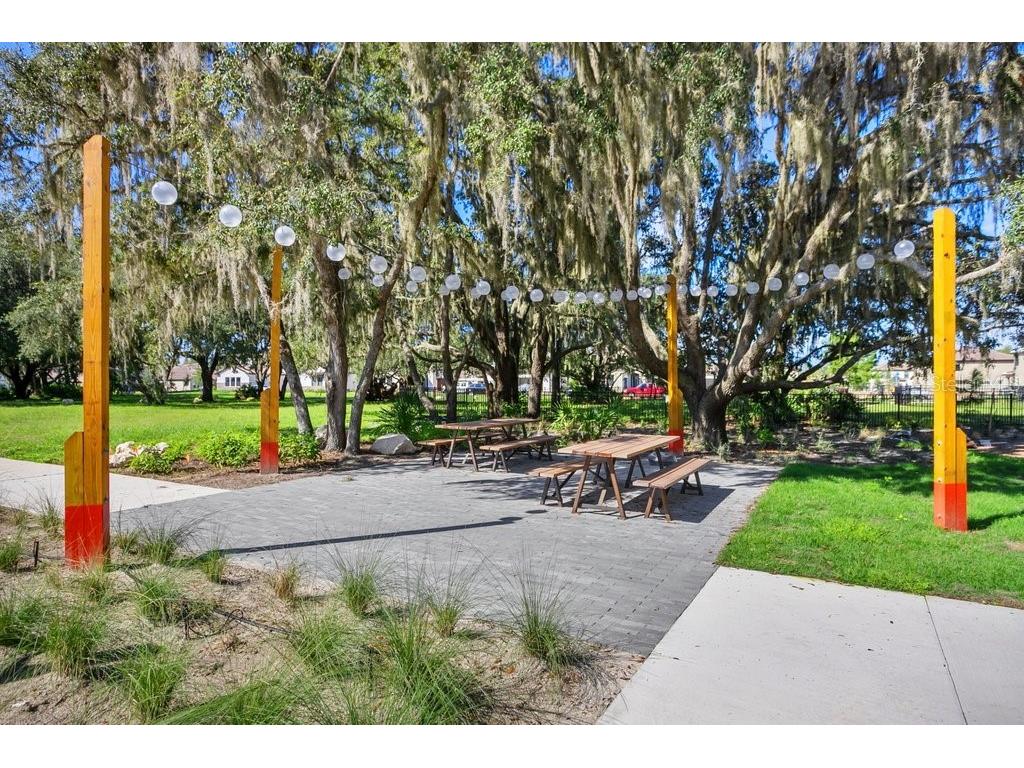 4025 Bonfire Drive Odessa FL 33556 TB8410708 image37