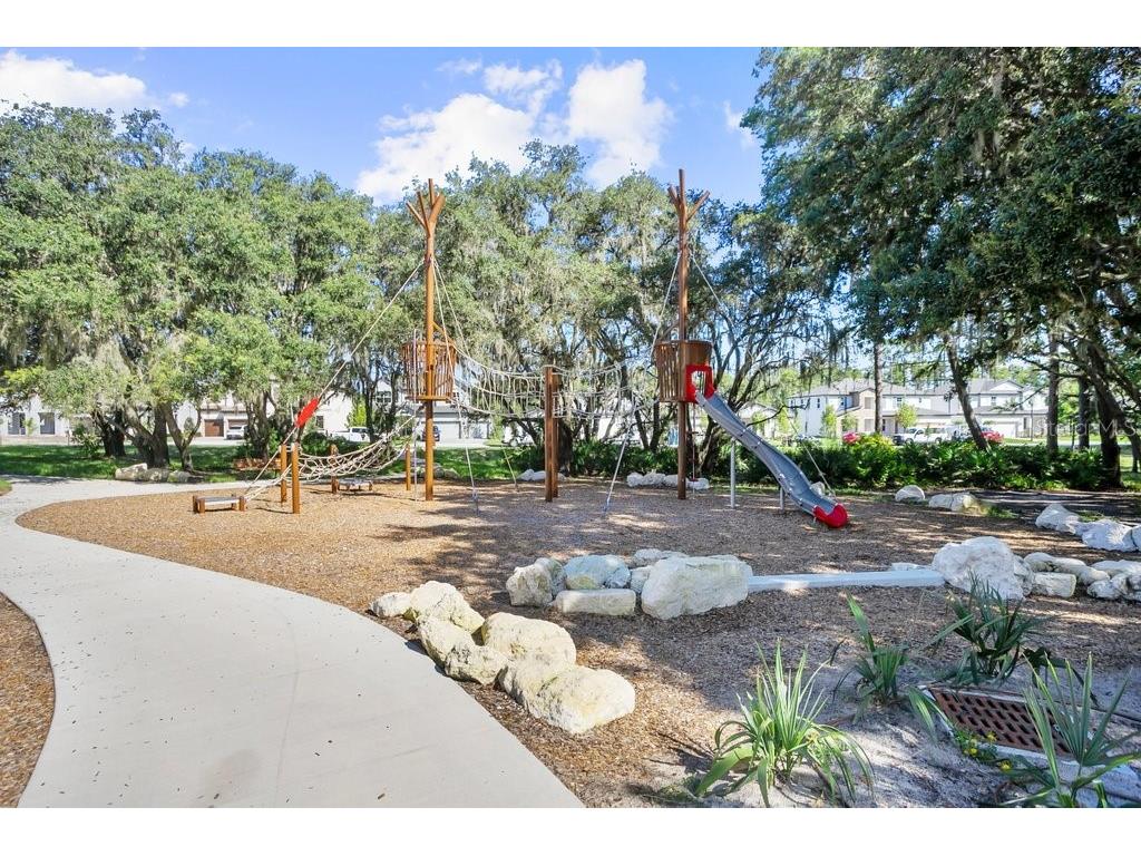 4025 Bonfire Drive Odessa FL 33556 TB8410708 image39