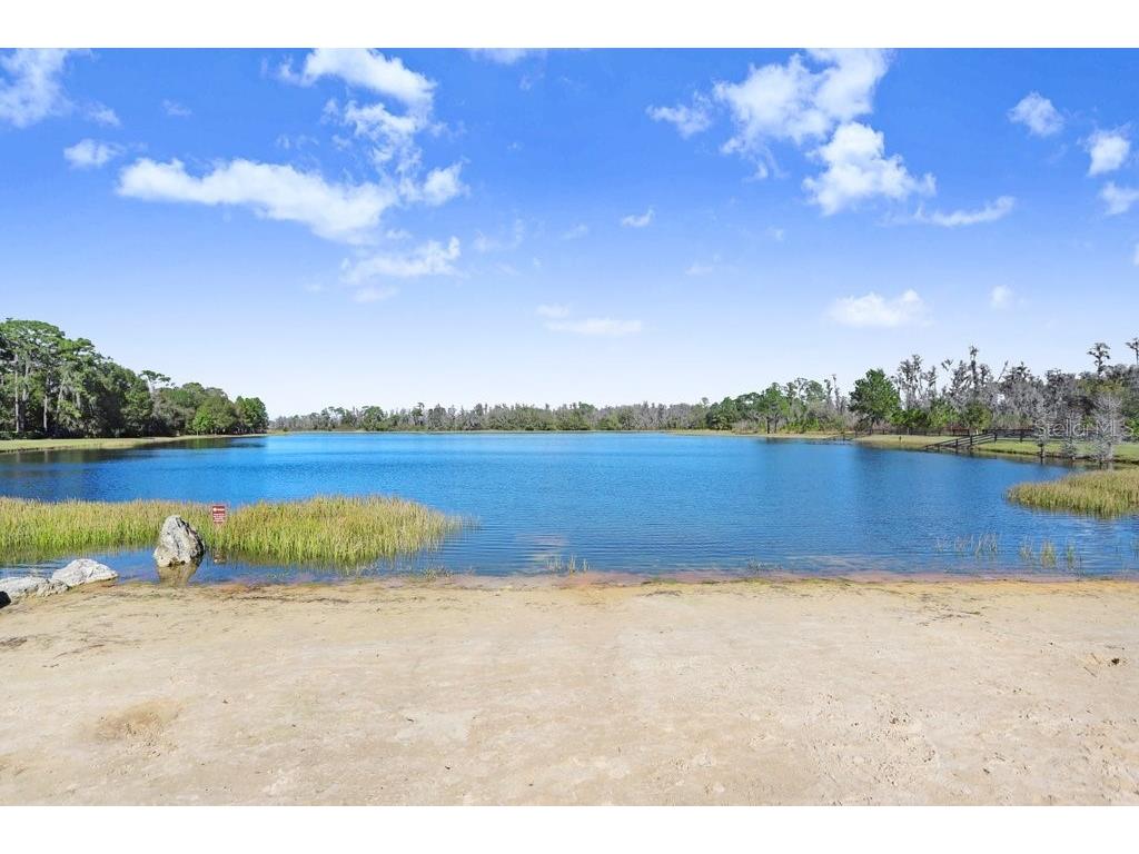 4025 Bonfire Drive Odessa FL 33556 TB8410708 image45