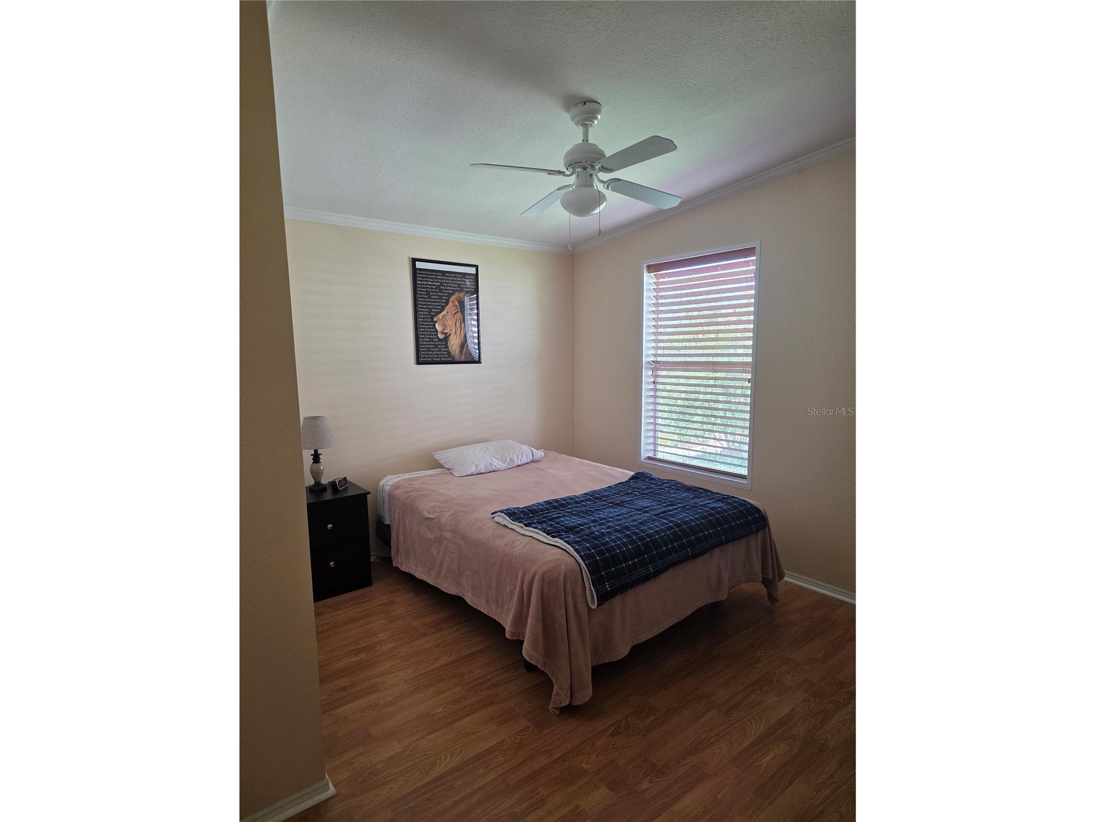 4025 Myrtle Oak Court #843 Zellwood FL 32798 O6422466 image14
