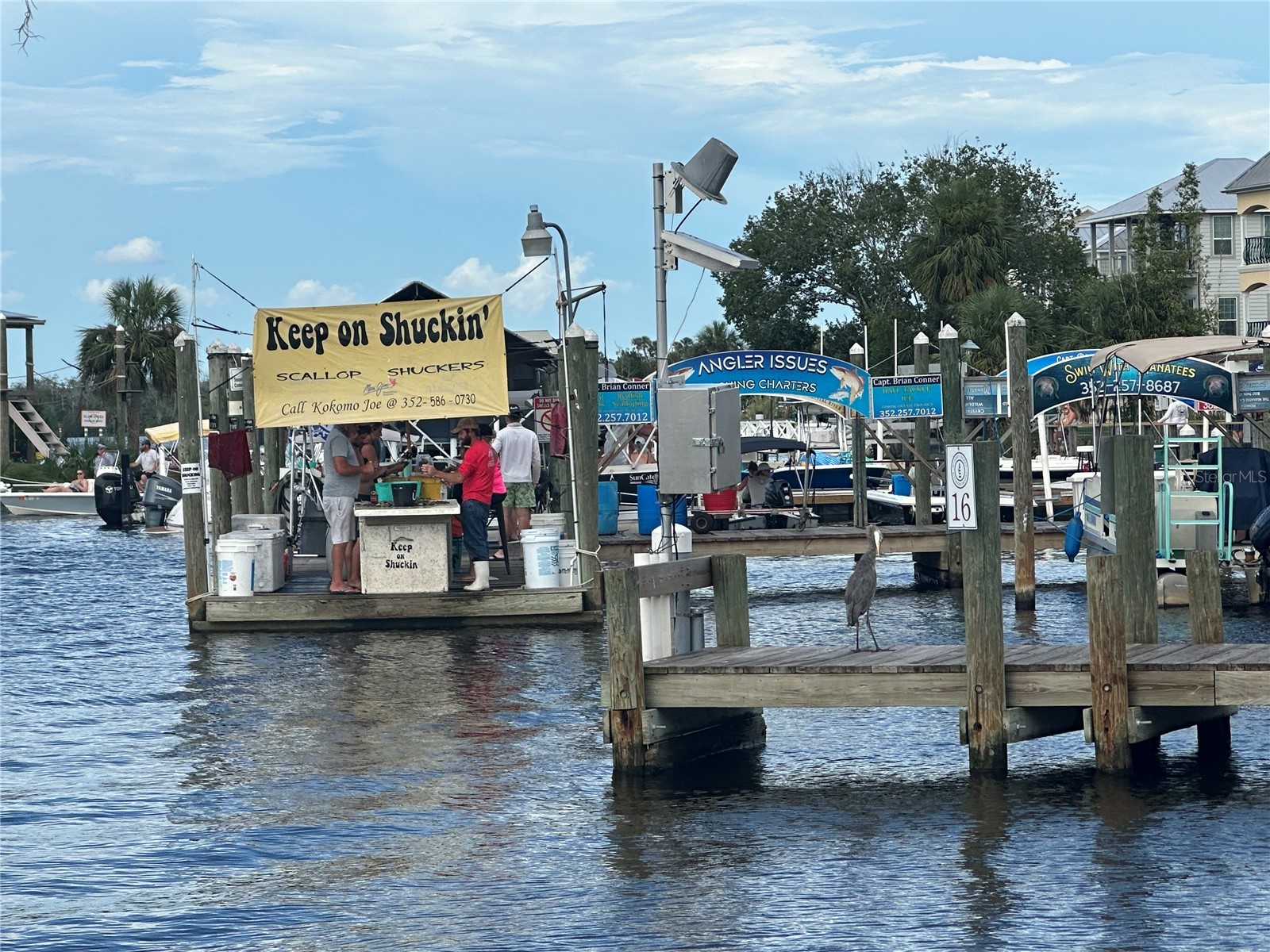 4025 S Missouri Street Homosassa FL 34448 TB8514296 image7
