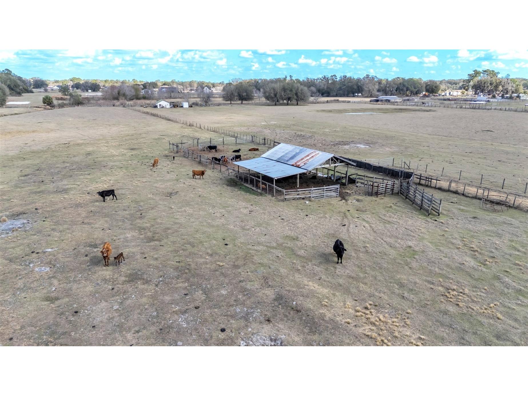 4025 W Bella Vista Street Lakeland FL 33810 L4959626 image3