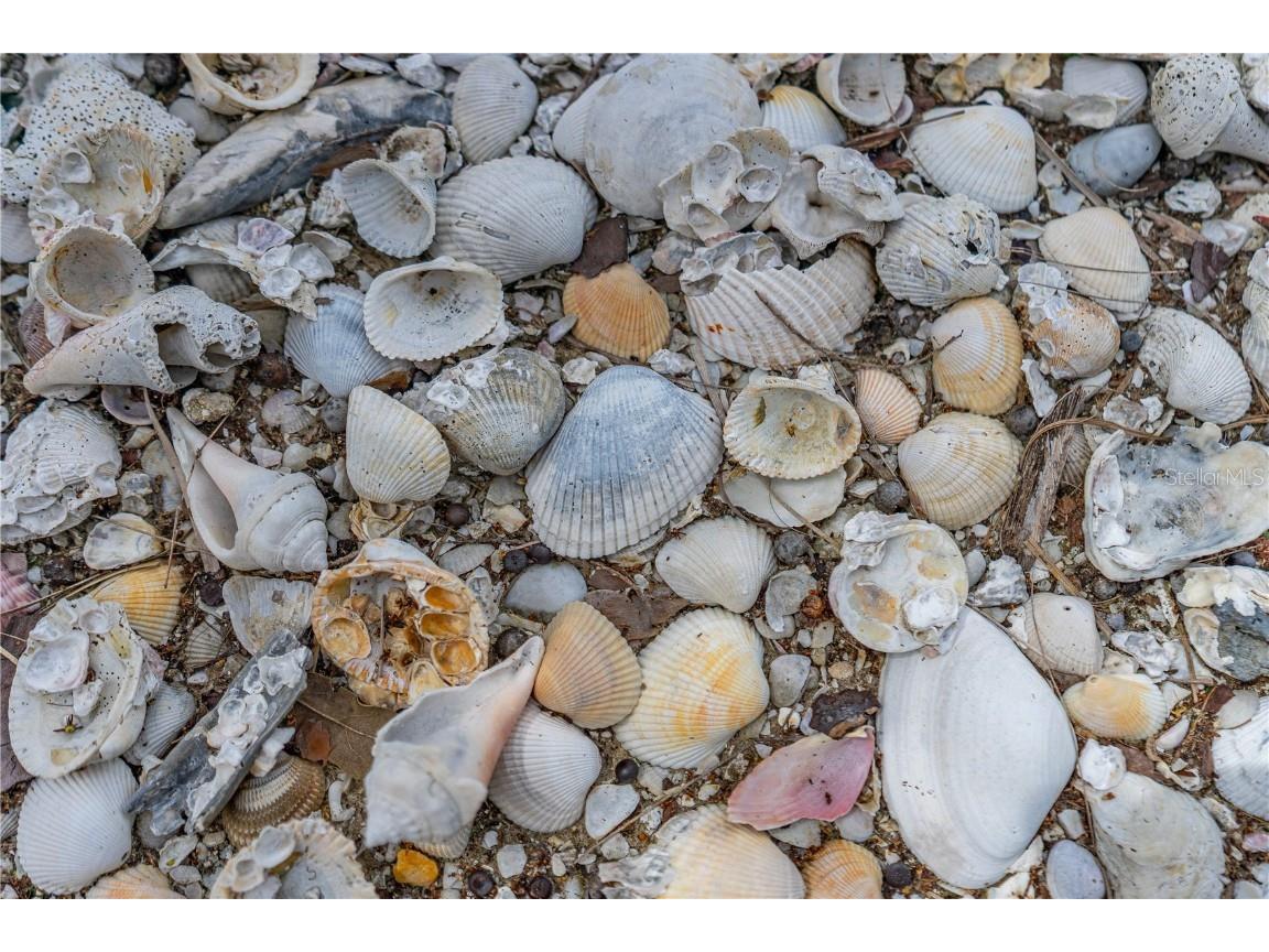 4026 Cardinal Boulevard Port Orange FL 32127 FC311486 image9